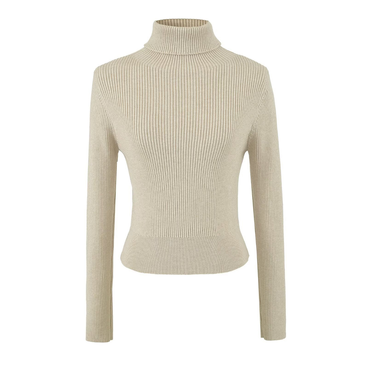 Fine Ribbed High Neck Slim Fit Knit Top