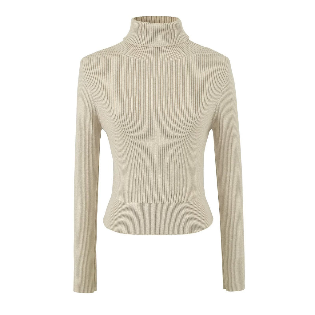 Fine Ribbed High Neck Slim Fit Knit Top